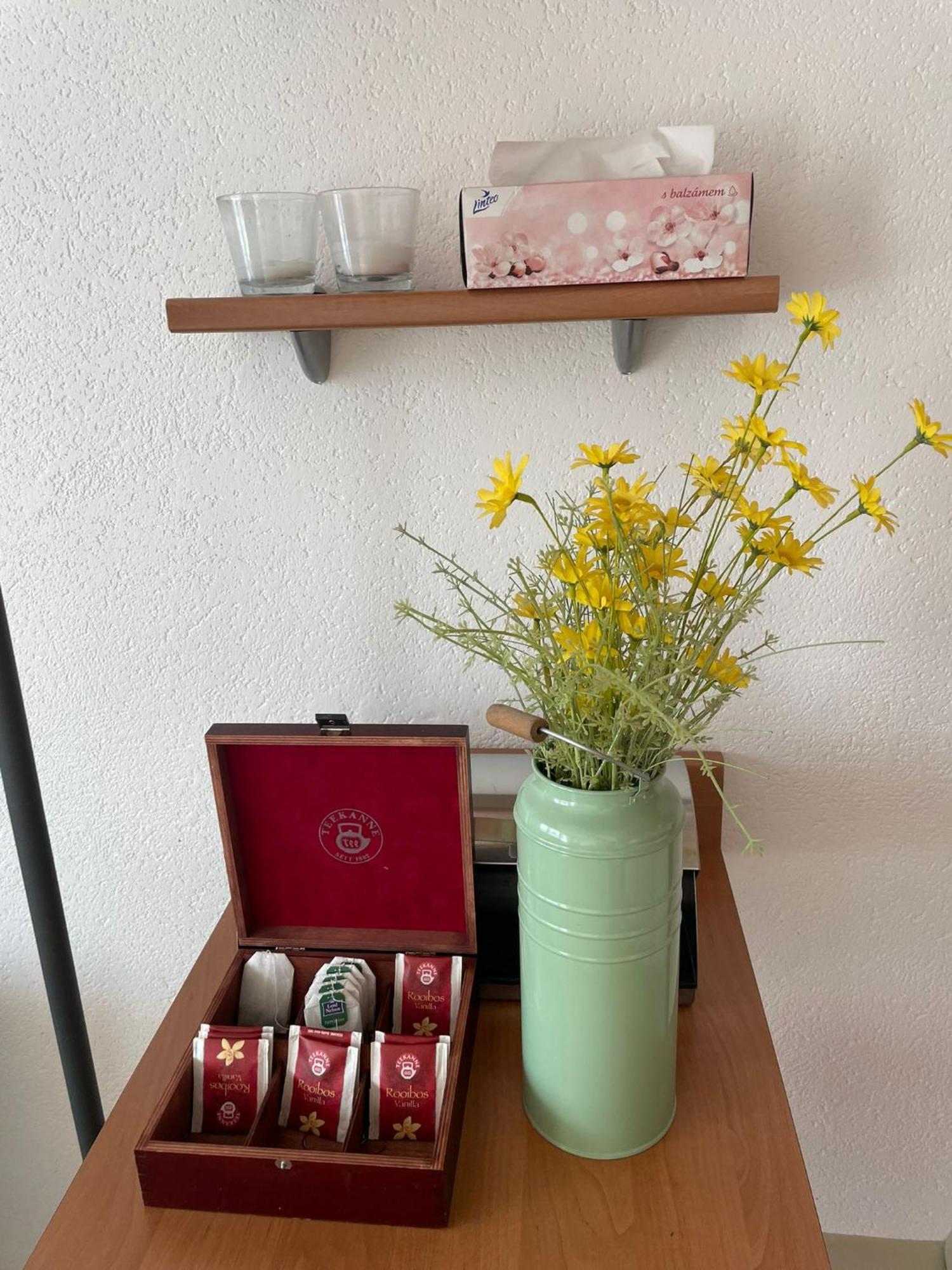 Park View Center Location With Balcony Apartment Pressburg