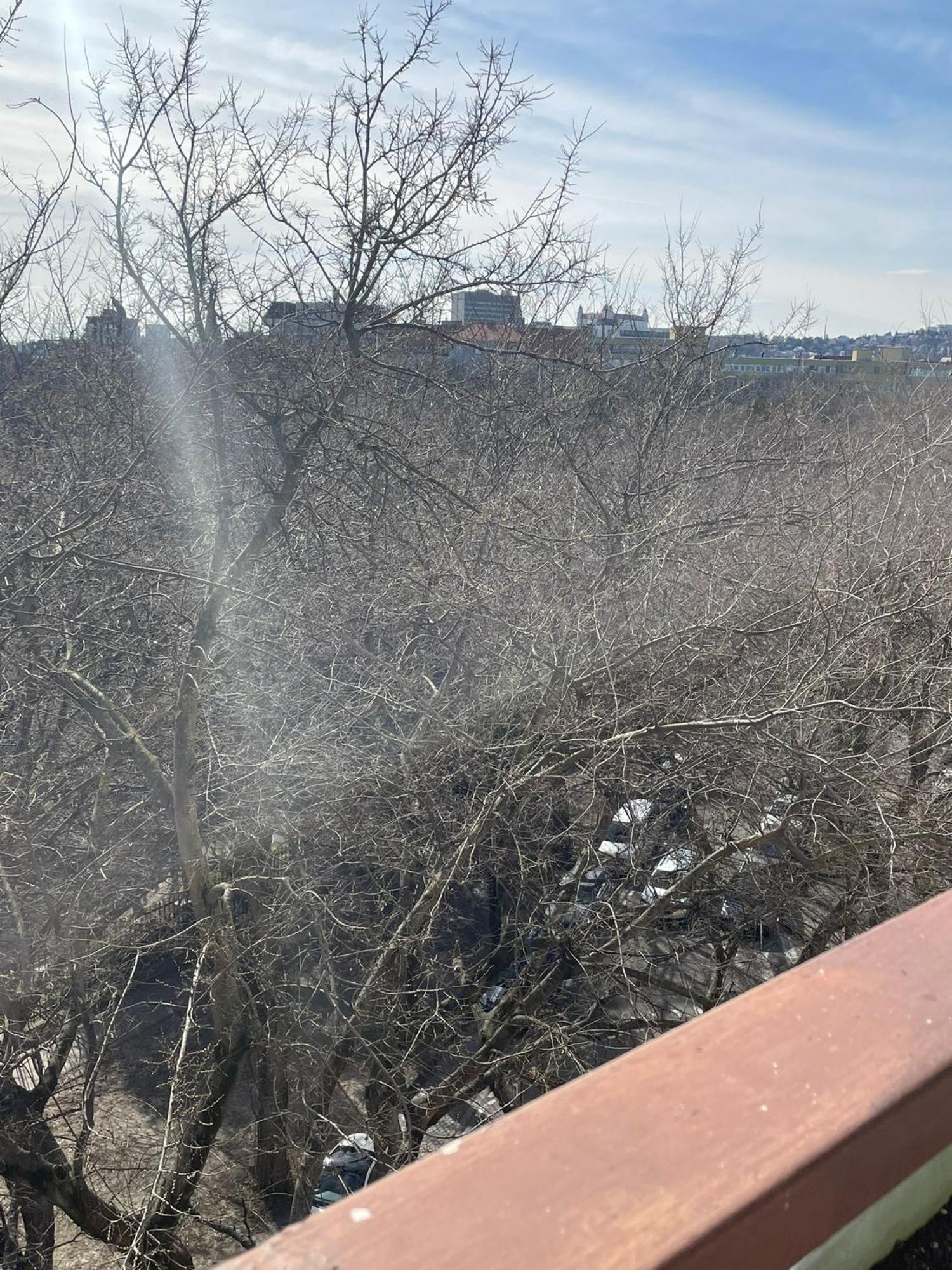 Park View Center Location With Balcony * Pressburg